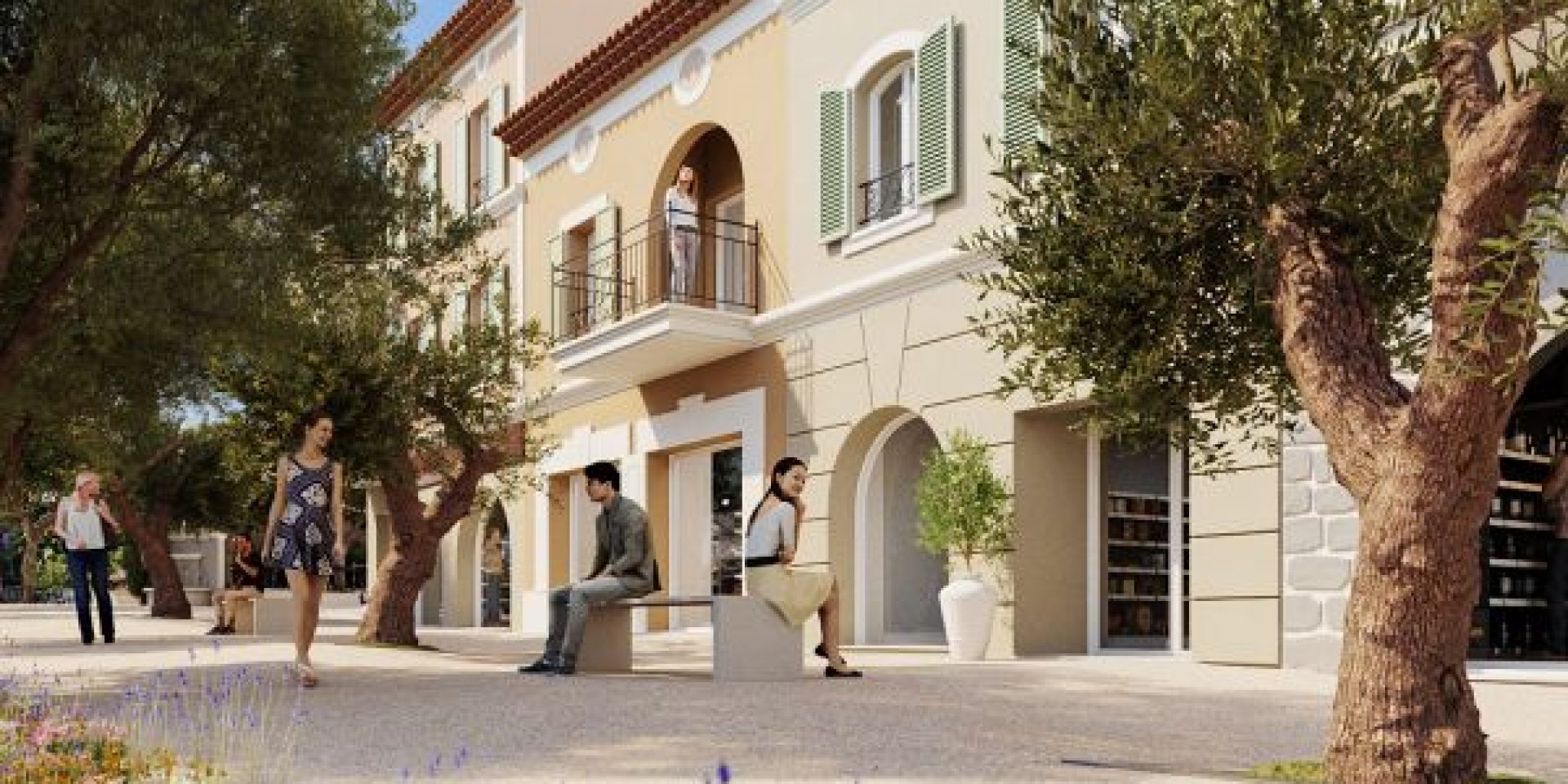 photo allee des oliviers 2